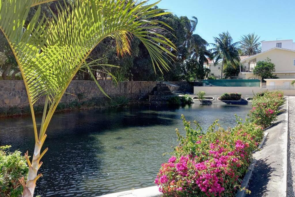 Le Dattier Holidays Flic en Flac Exterior photo